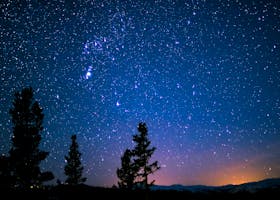 Beautiful starry night sky with silhouetted trees, showcasing the vast cosmos.